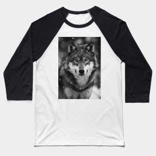 Majestic Wolf in Greyscale Baseball T-Shirt